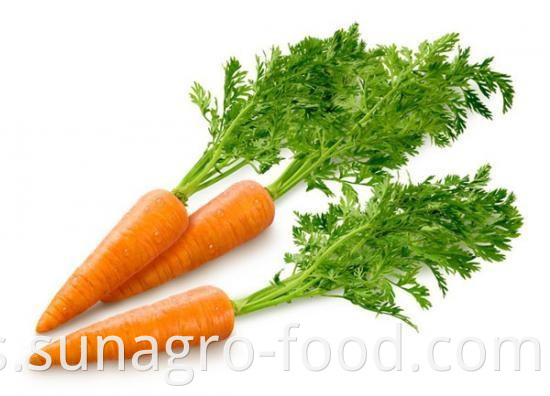 Healthy Organic Carrot